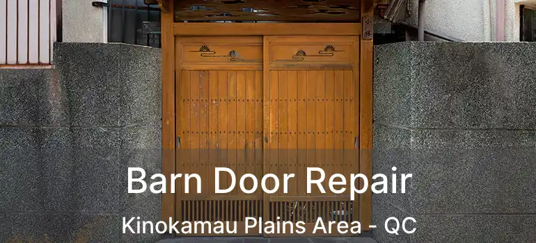  Barn Door Repair Kinokamau Plains Area - QC
