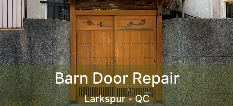 Barn Door Repair Larkspur - QC