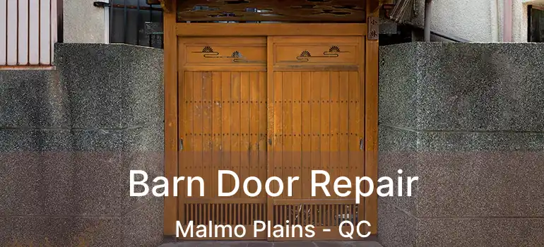  Barn Door Repair Malmo Plains - QC