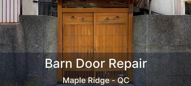  Barn Door Repair Maple Ridge - QC