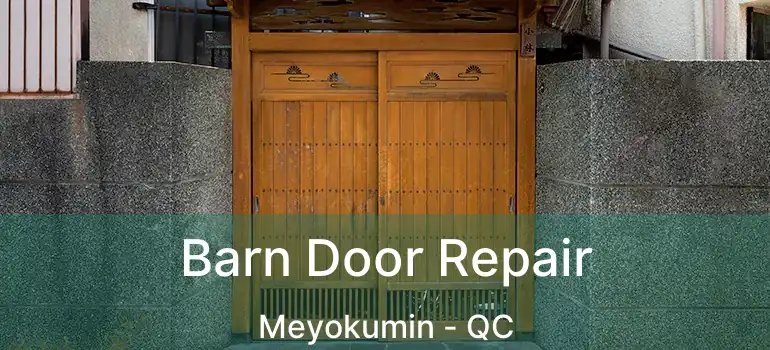  Barn Door Repair Meyokumin - QC