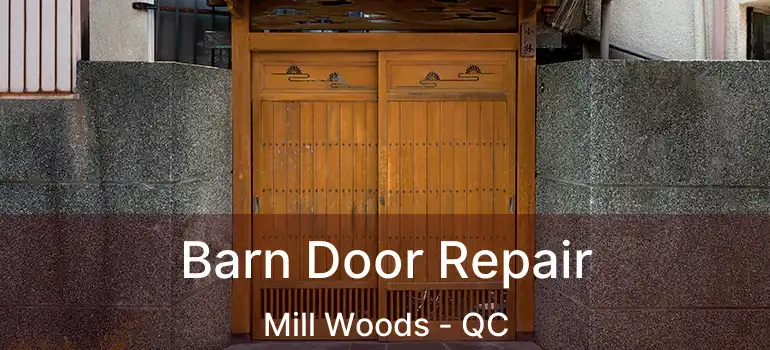  Barn Door Repair Mill Woods - QC