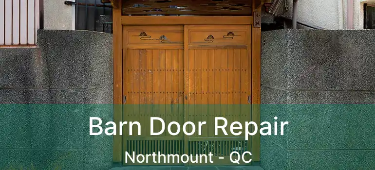  Barn Door Repair Northmount - QC