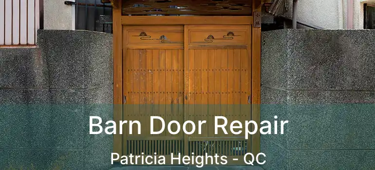  Barn Door Repair Patricia Heights - QC