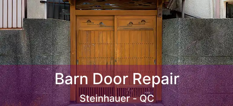  Barn Door Repair Steinhauer - QC