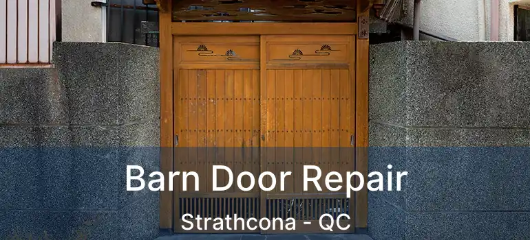  Barn Door Repair Strathcona - QC