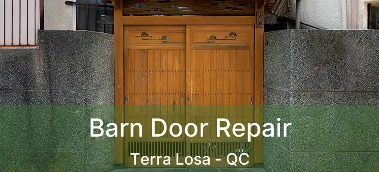  Barn Door Repair Terra Losa - QC