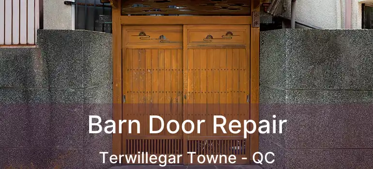  Barn Door Repair Terwillegar Towne - QC
