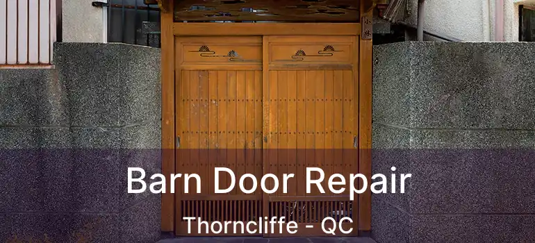  Barn Door Repair Thorncliffe - QC