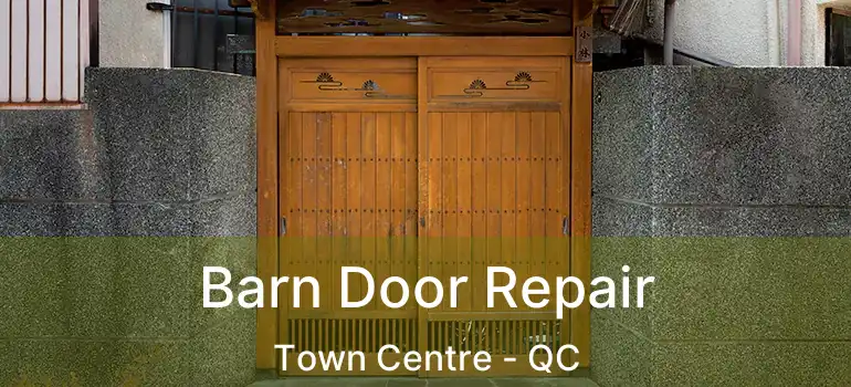  Barn Door Repair Town Centre - QC