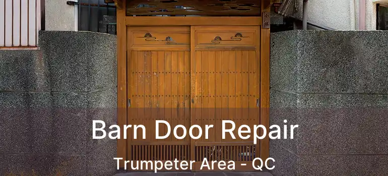  Barn Door Repair Trumpeter Area - QC