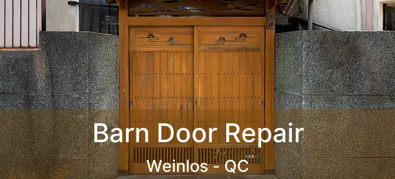  Barn Door Repair Weinlos - QC