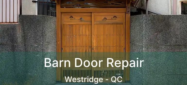  Barn Door Repair Westridge - QC