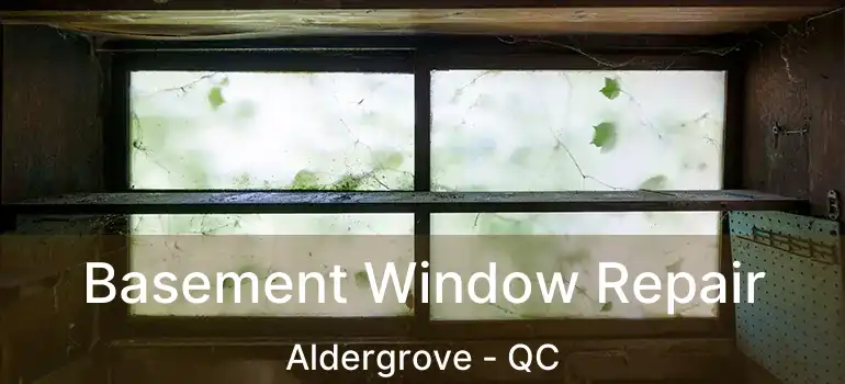  Basement Window Repair Aldergrove - QC