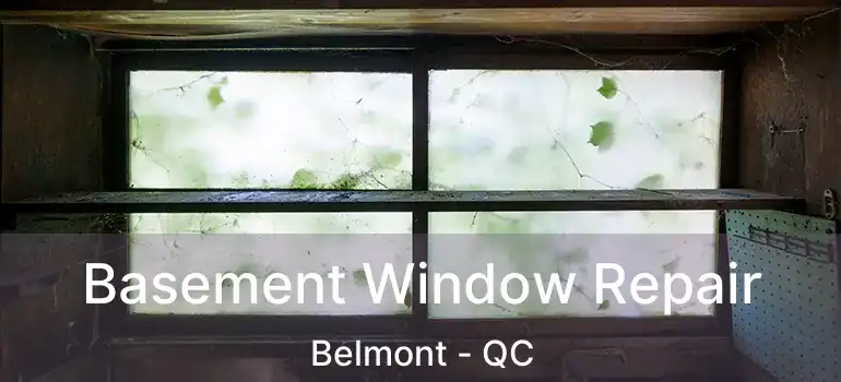  Basement Window Repair Belmont - QC