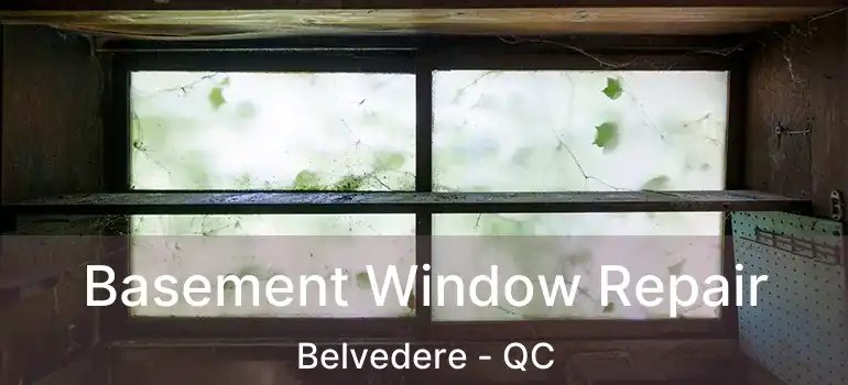  Basement Window Repair Belvedere - QC