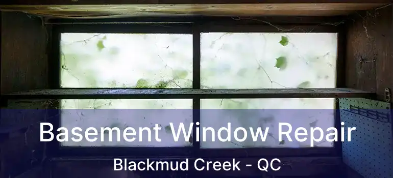  Basement Window Repair Blackmud Creek - QC