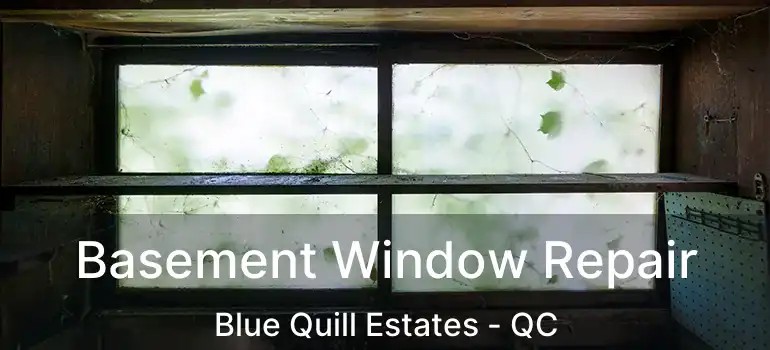  Basement Window Repair Blue Quill Estates - QC