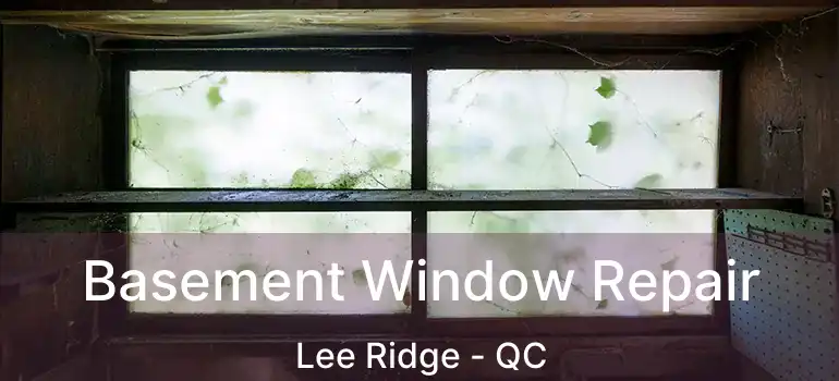  Basement Window Repair Lee Ridge - QC