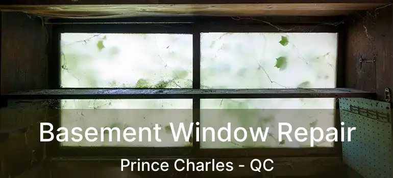  Basement Window Repair Prince Charles - QC