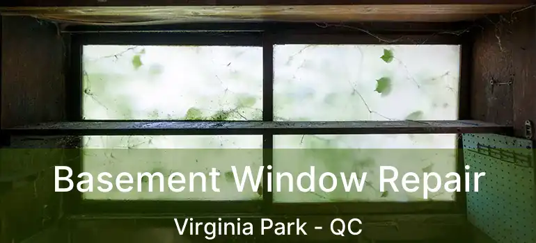  Basement Window Repair Virginia Park - QC