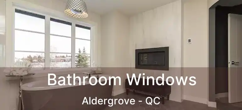  Bathroom Windows Aldergrove - QC