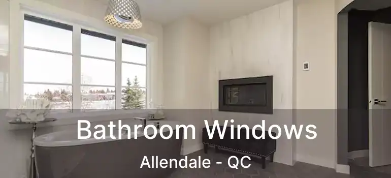  Bathroom Windows Allendale - QC
