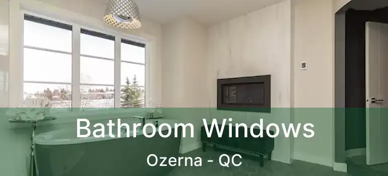  Bathroom Windows Ozerna - QC