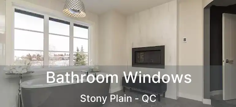  Bathroom Windows Stony Plain - QC