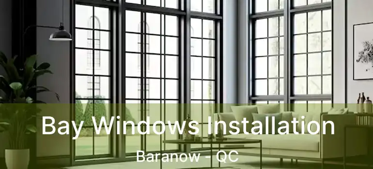  Bay Windows Installation Baranow - QC
