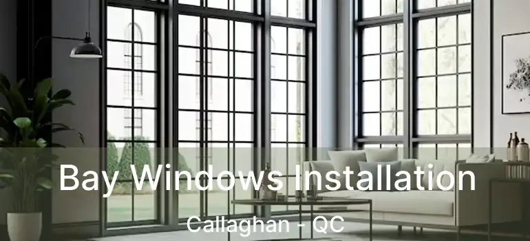  Bay Windows Installation Callaghan - QC