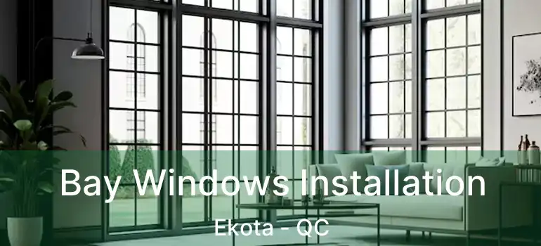  Bay Windows Installation Ekota - QC
