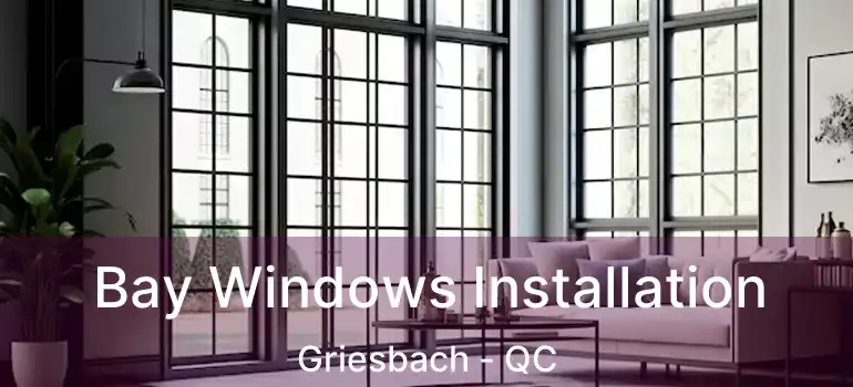  Bay Windows Installation Griesbach - QC