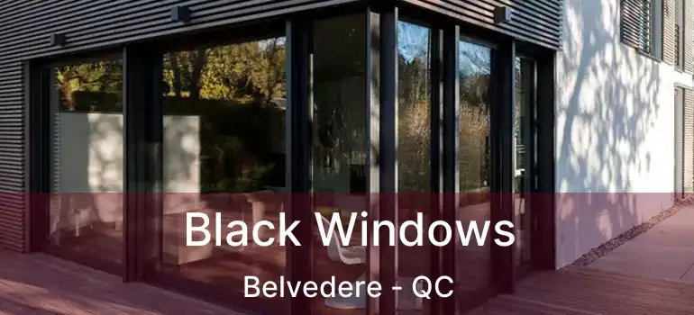  Black Windows Belvedere - QC