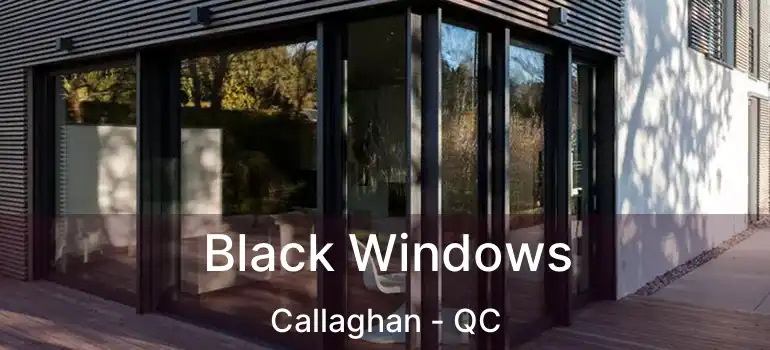  Black Windows Callaghan - QC