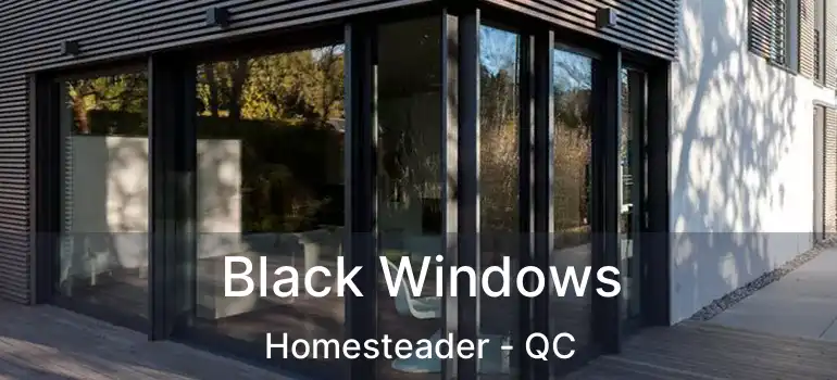  Black Windows Homesteader - QC