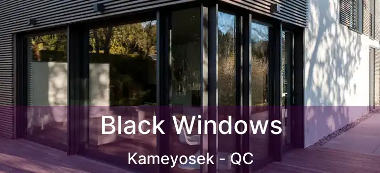  Black Windows Kameyosek - QC