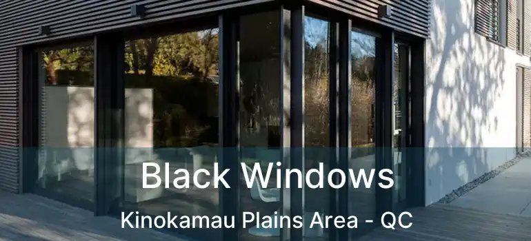  Black Windows Kinokamau Plains Area - QC