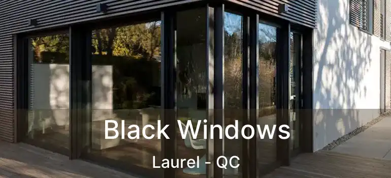  Black Windows Laurel - QC