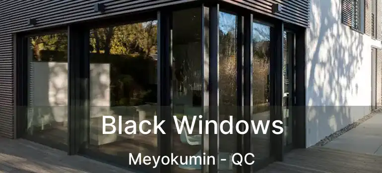  Black Windows Meyokumin - QC