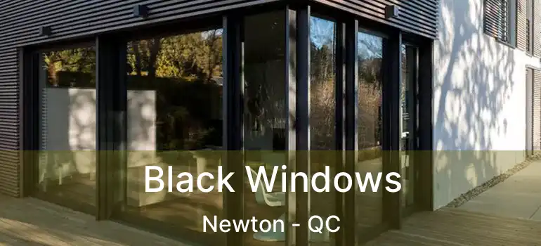  Black Windows Newton - QC