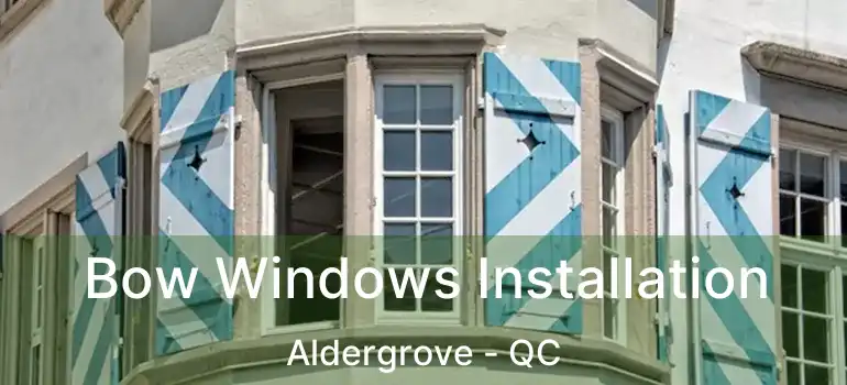  Bow Windows Installation Aldergrove - QC