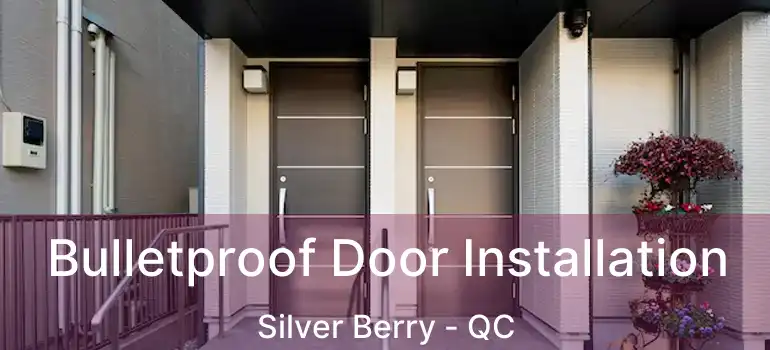  Bulletproof Door Installation Silver Berry - QC