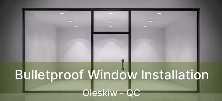 Bulletproof Window Installation Oleskiw - QC