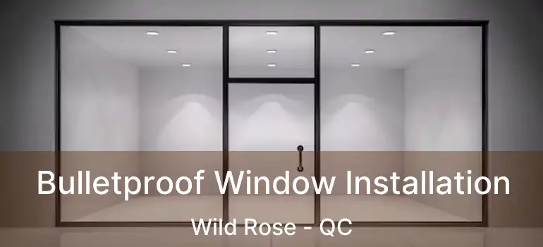  Bulletproof Window Installation Wild Rose - QC