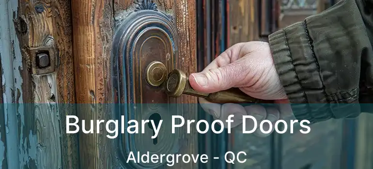  Burglary Proof Doors Aldergrove - QC