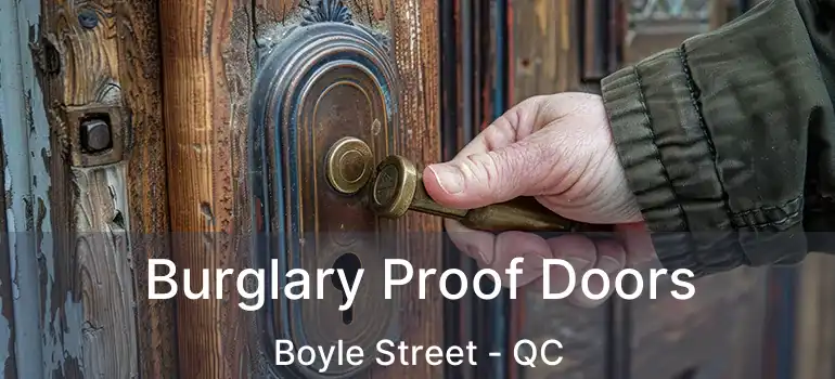  Burglary Proof Doors Boyle Street - QC