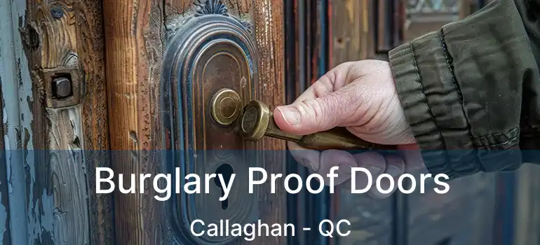  Burglary Proof Doors Callaghan - QC