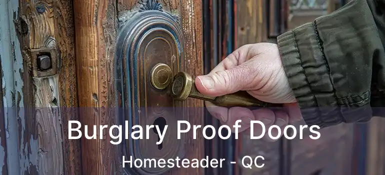  Burglary Proof Doors Homesteader - QC