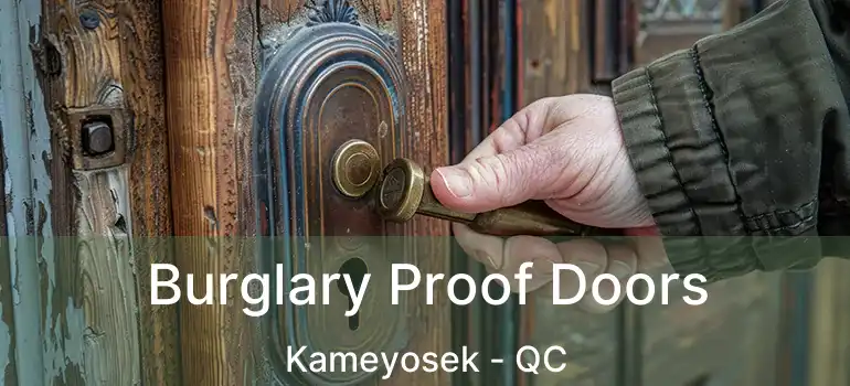  Burglary Proof Doors Kameyosek - QC